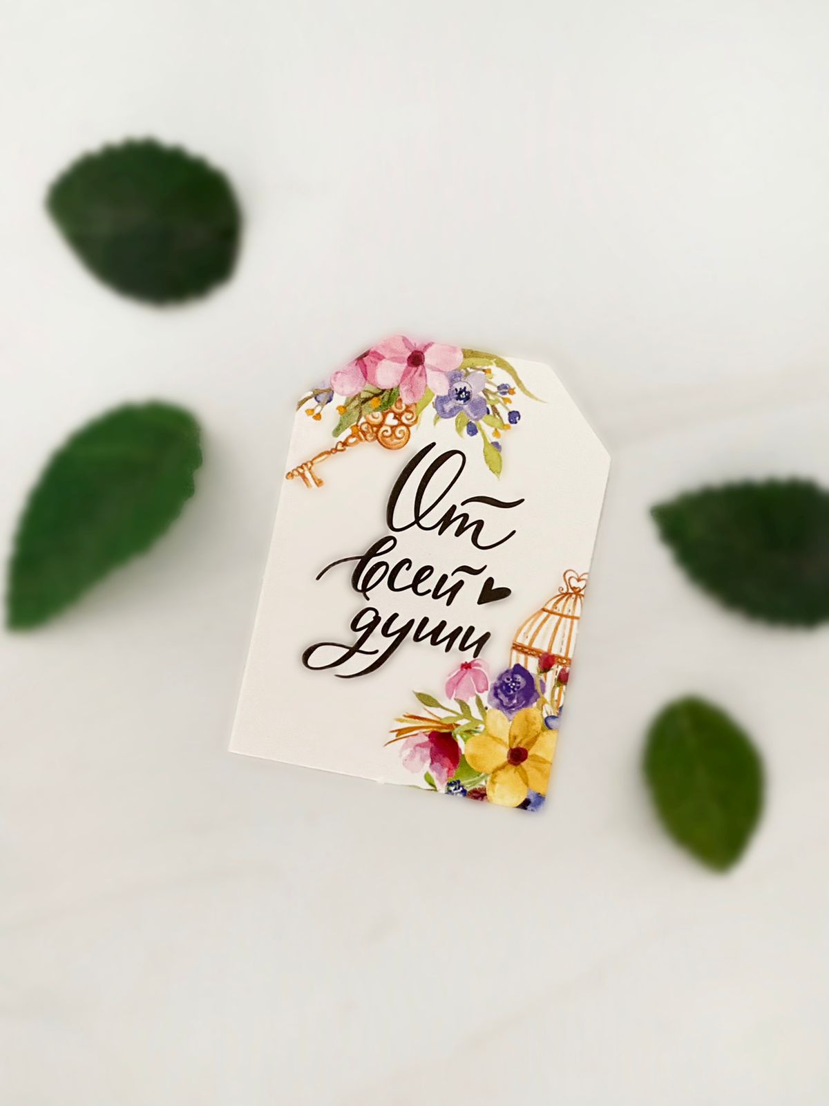 birka-spasibo-za-zakaz-komplekt-5-sht-00631-3