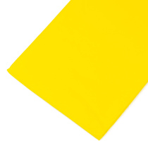 6 (1) 6 (1)