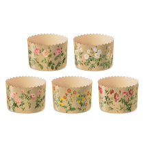 4de02uiji4tp7xo4x1c61i0fn02mzp5s