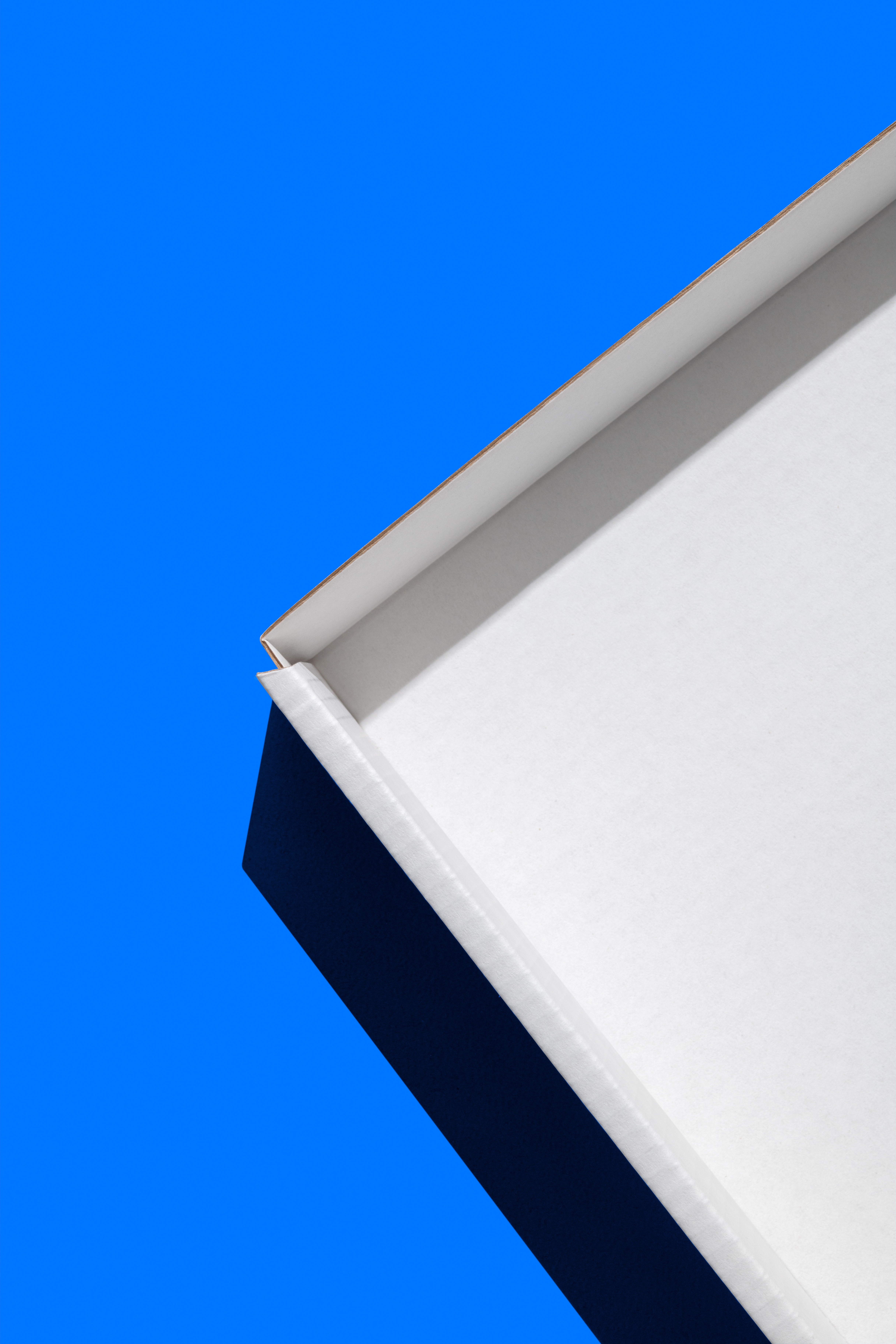 umu1i5b3po3u711rg5kxc0sgiastaw7j