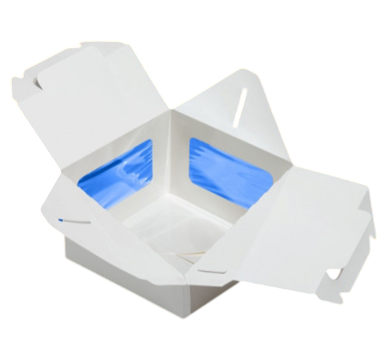 02-Photoroom (3) 02-Photoroom (3)