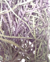 90-Photoroom (4)