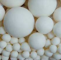 photo_5213188857183014323_y