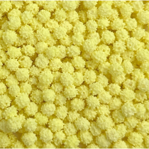 hrnpegdeer24u52m6vtdwgip0fn058px