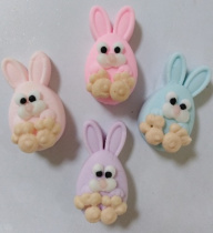 разноцветный зайчик