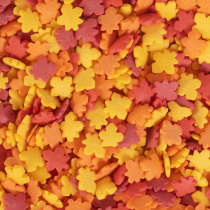 prmzl3szagln123ufm264hoodryb6n9w