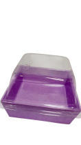 transparent-Photoroom