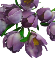 11-Photoroom (22)