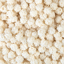 eaw77yd2guiw1yva2hypp04zkkde0uz7