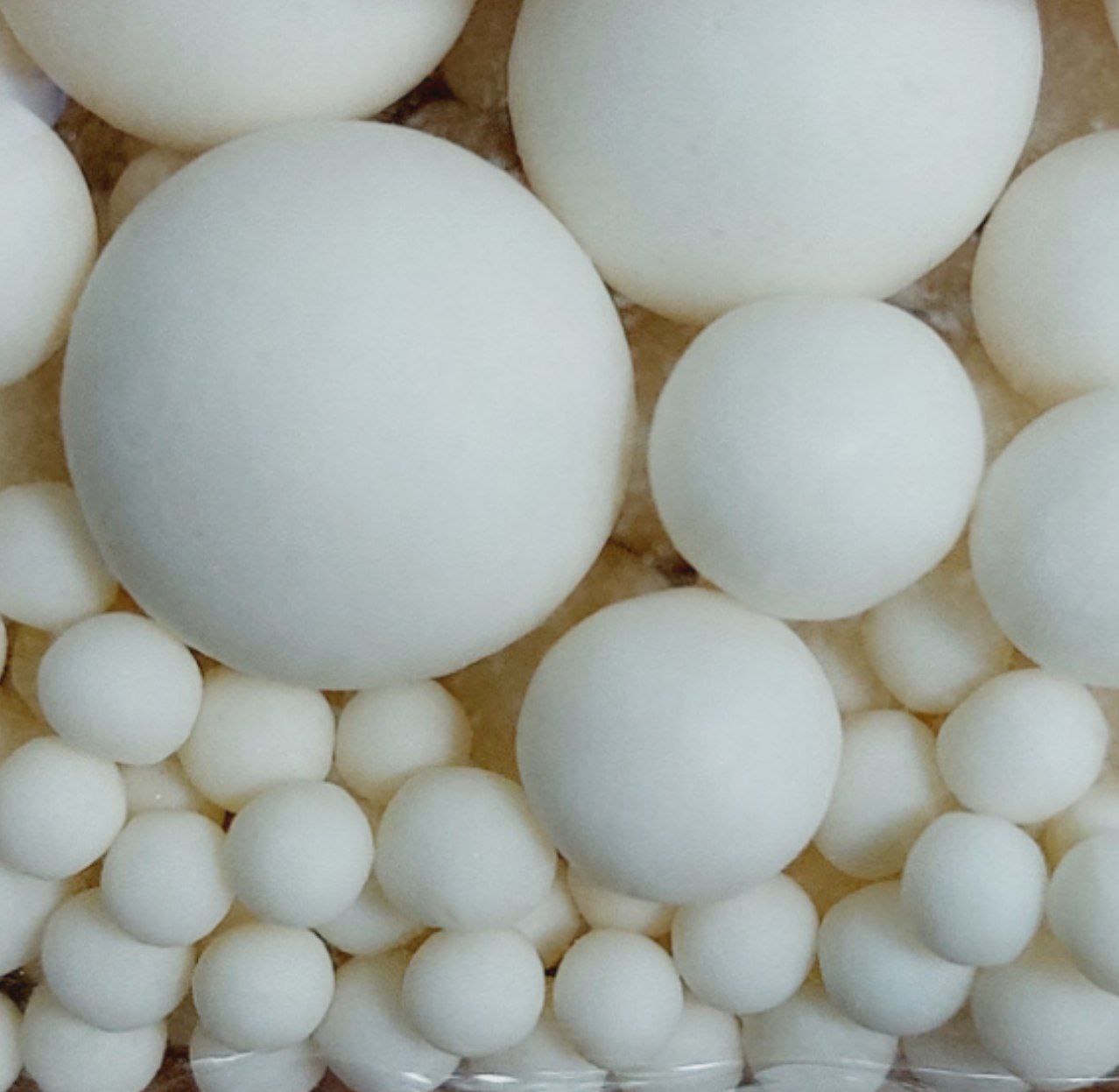 photo_5213188857183014323_y