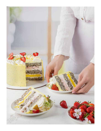 67445e6fea63e 67445e6fea63e