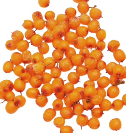 7-Photoroom (4) 7-Photoroom (4)