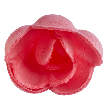 ua4tgz8tpbqzn5xy2afpi9ikfysneilr